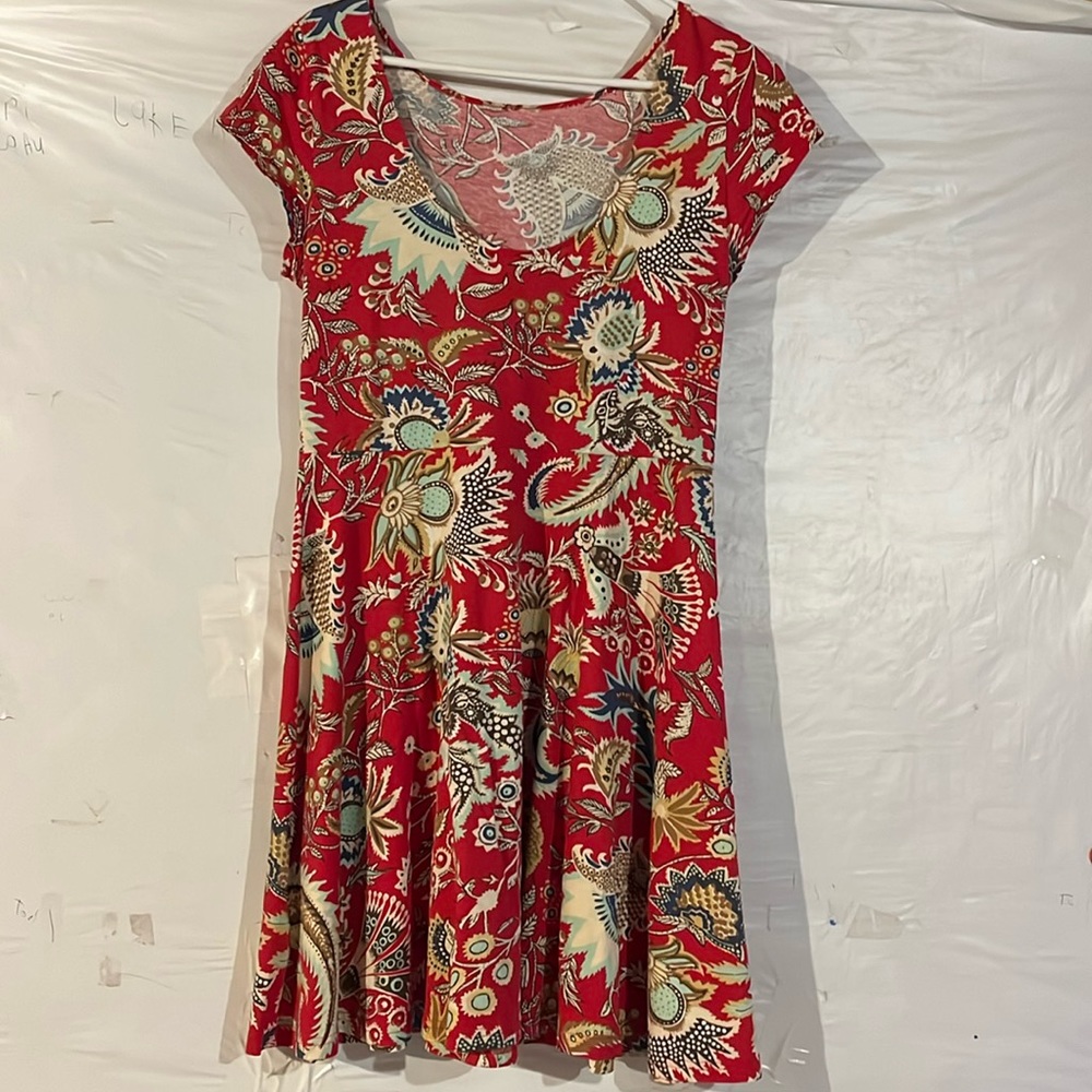 Adorable summer/fall dress